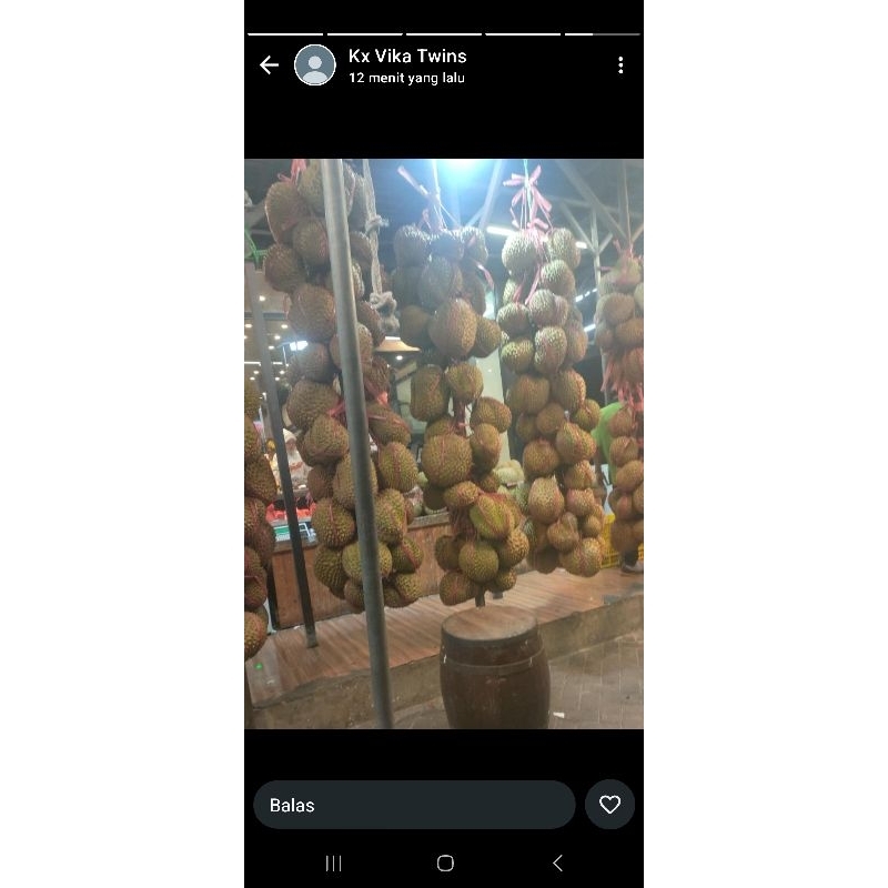 

durian montong