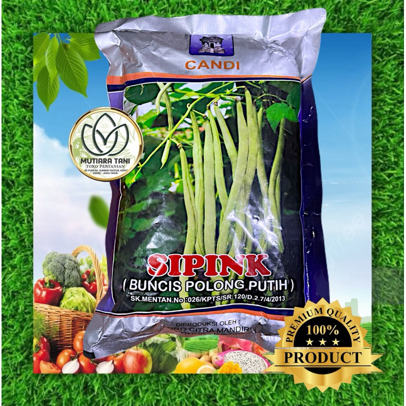 

Buncis Sipink Tahan Virus 500gr