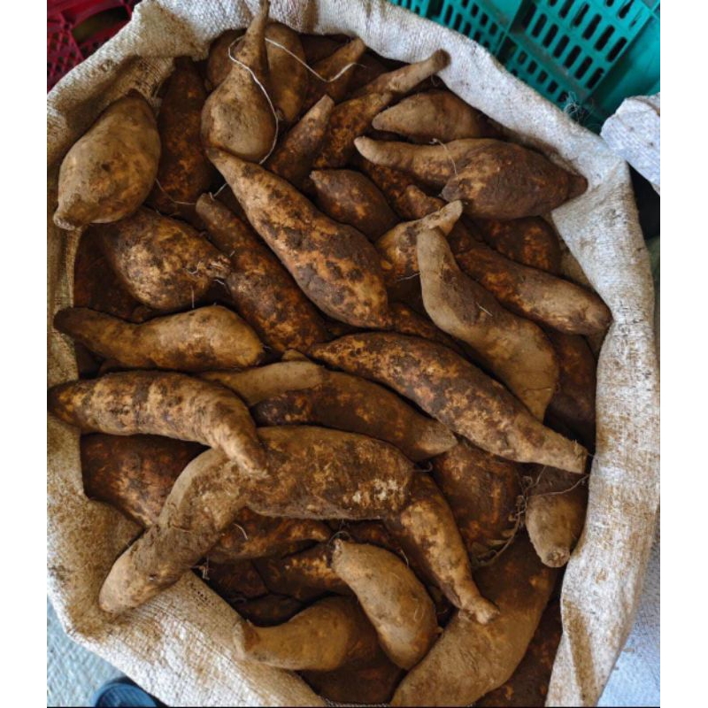 

TELO MADU DAPAT 3 KG