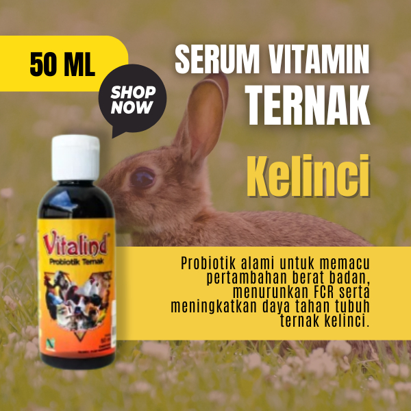 Vitamin ternak kelinci vitamin kelinci untuk bulu dan kesehatan  vitamin kelinci agar cepat gemuk  v