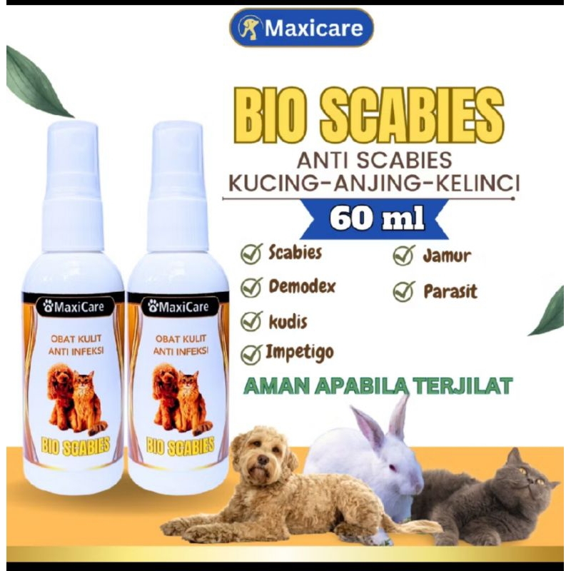 Obat Jamur dan Scabies Kucing Semprot