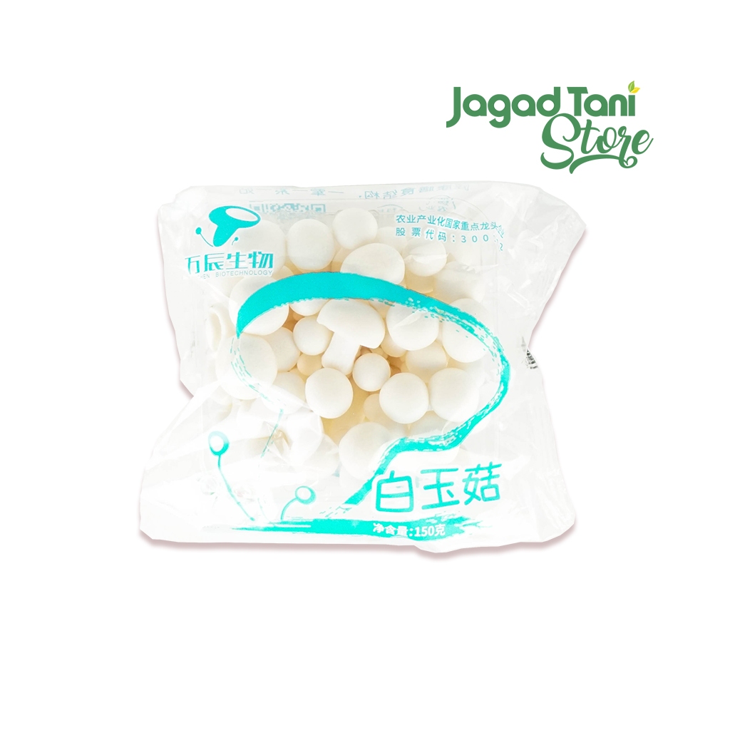 

SUFARM Jamur Shimeji Putih Segar 150 Gr – White Shimeji Mushroom Import
