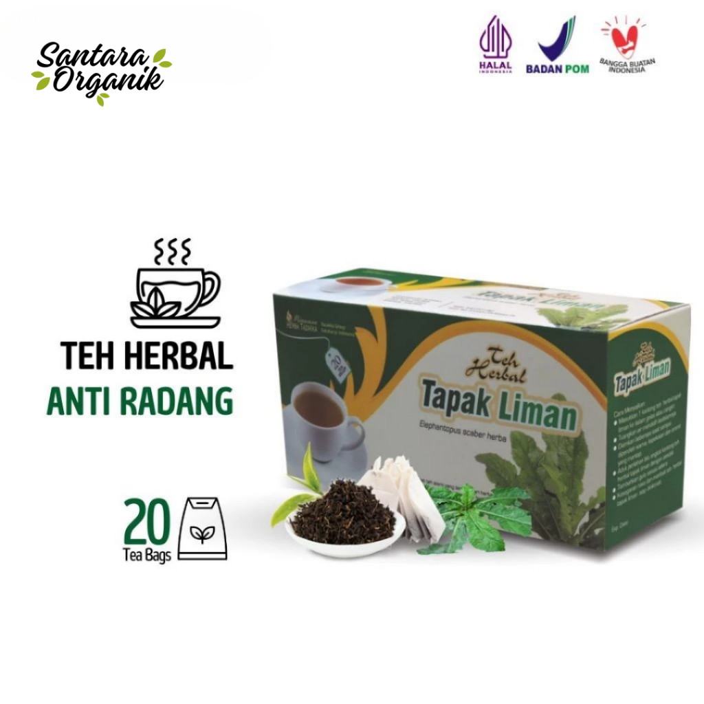 

Teh Herbal mengobati liver radang tenggorokan dengan teh tapak liman dengan teh tapak liman tazakka