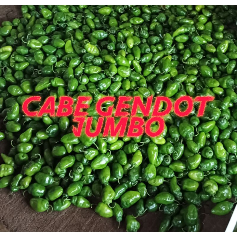 

cabe gendot fresh JUMBO