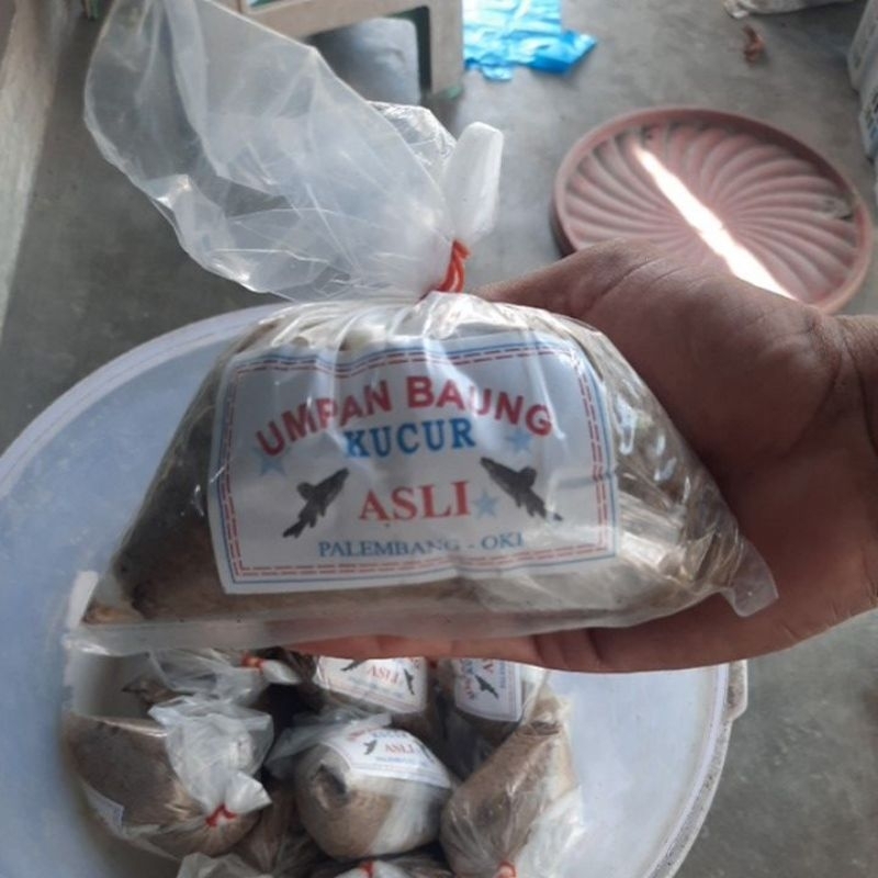 umpan kucur asli palembang oki