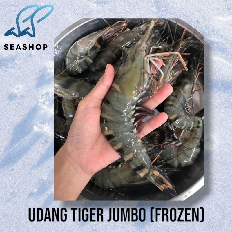 

Udang Tiger Jumbo - Blacktiger Prawns Frozen (Kualitas Ekspor)