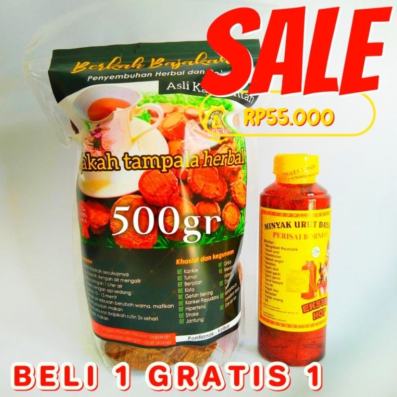 

akar kayu bajakah tampala super kalimantan 500 gram-bonus 1 botol minyak urut dayak 250ml