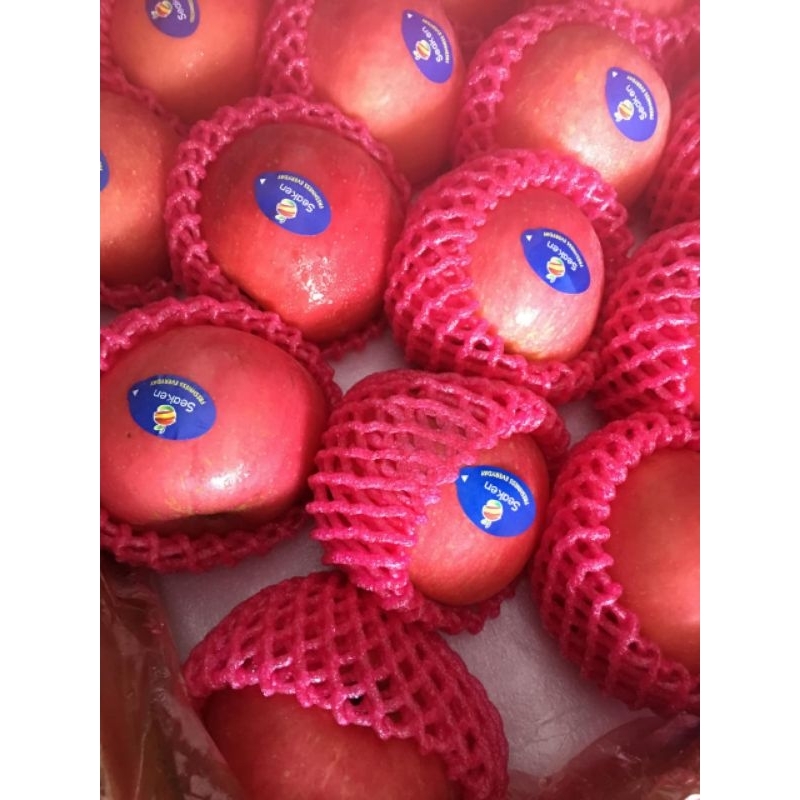 

APEL FUJI IMPORT