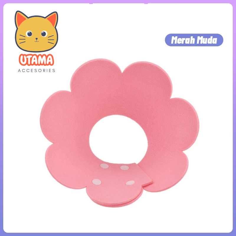 COLLAR KUCING PELINDUNG LEHER