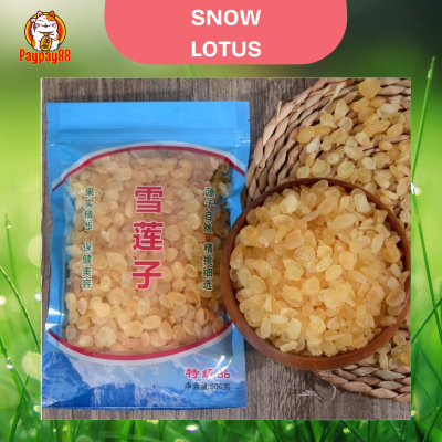 

SNOW LOTUS SEED IMPORT / HONEY LOCUST / TERATAI SALJU / XUE LIAN ZHI 10 - 50 GRAM