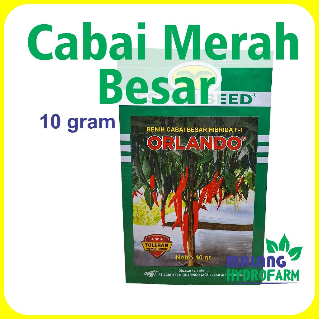 Benih Cabai Merah Besar Orlando F1 10 g Eston Seed hibrida dataran menengah sampai tinggi tahan viru