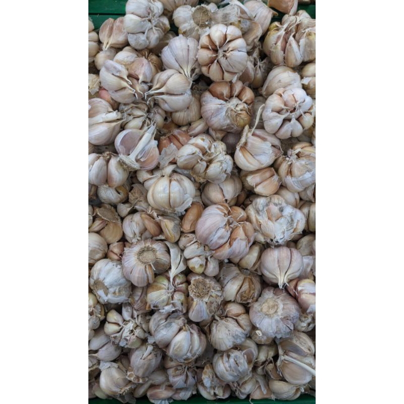 

Bawang Putih FRESH BATAM || MOHON BACA DESKRIPSI SEBELUM CHECKOUT