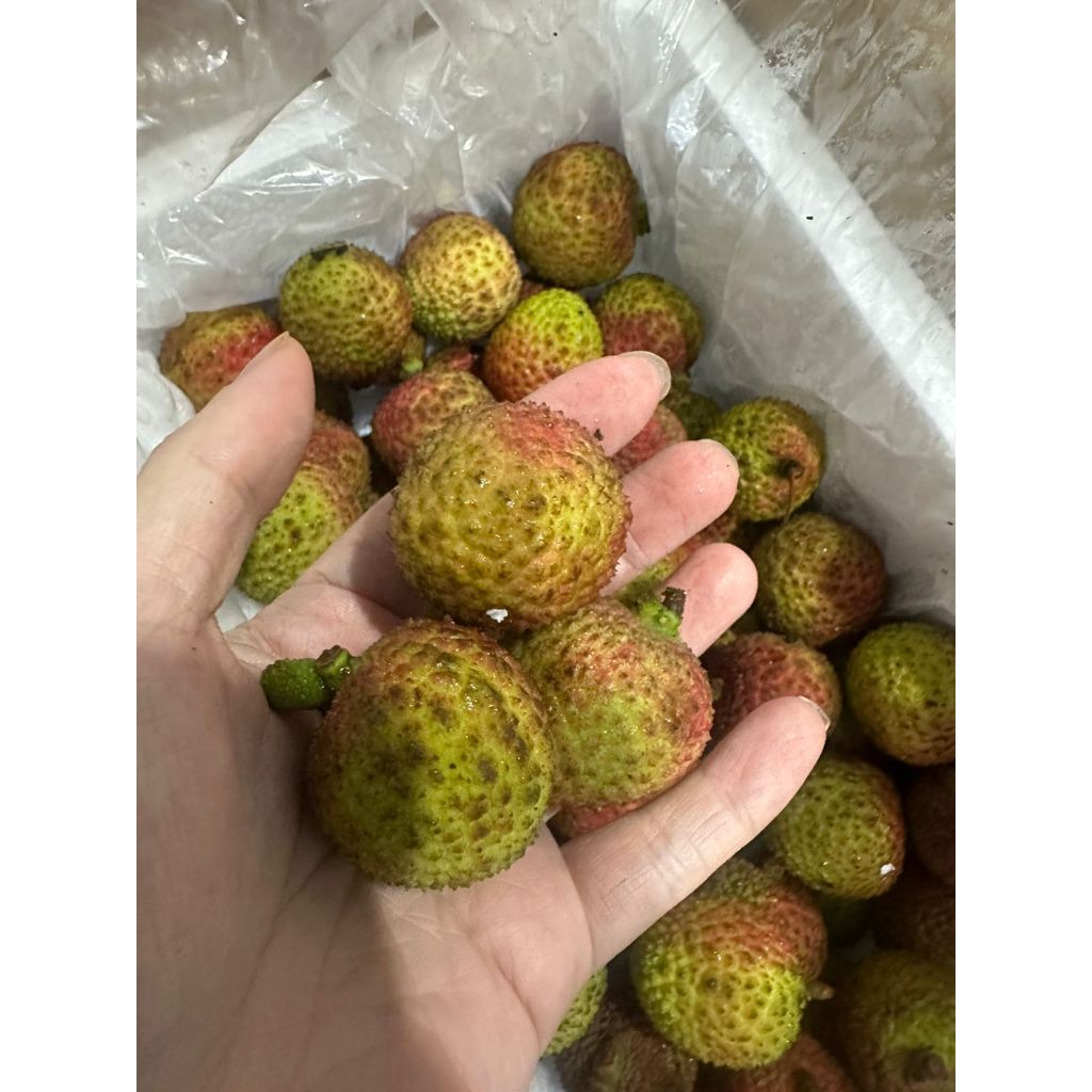 

LECI MERAH. LECI ENAK MANIS SEGAR DAN FRESH