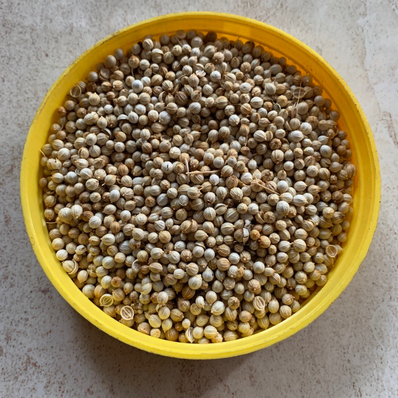 

Ketumbar Utuh Kering Rempahlu | Rempah Murni Asli Lumajang, Wangi, dan Segar