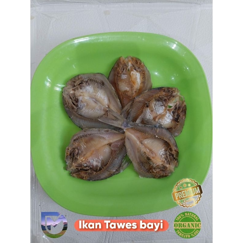 

Ikan tawes bayi kering Asin
