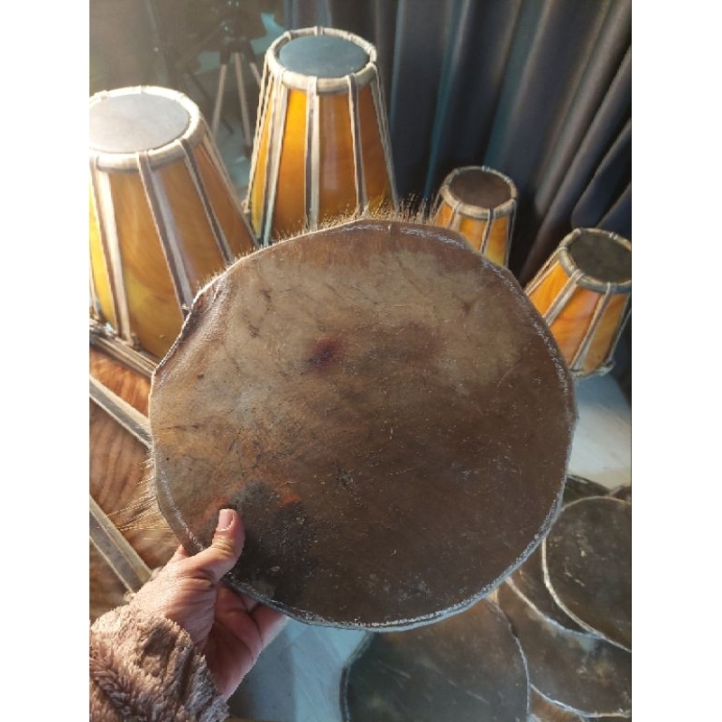 kulit mentahan kerbau untuk kendang