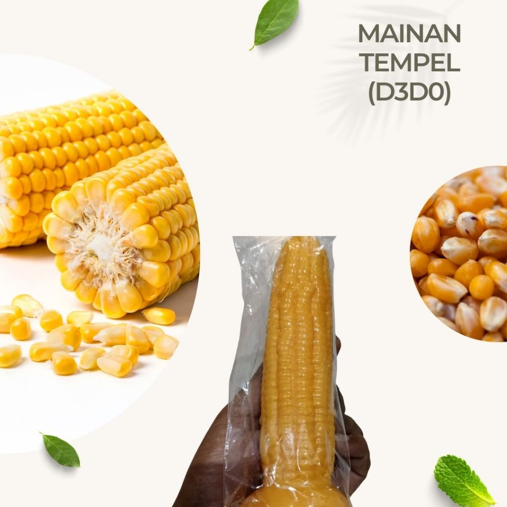 

Jagung Pipil Jagung Premium Kualitas Pilihan 500g Siap Kirim