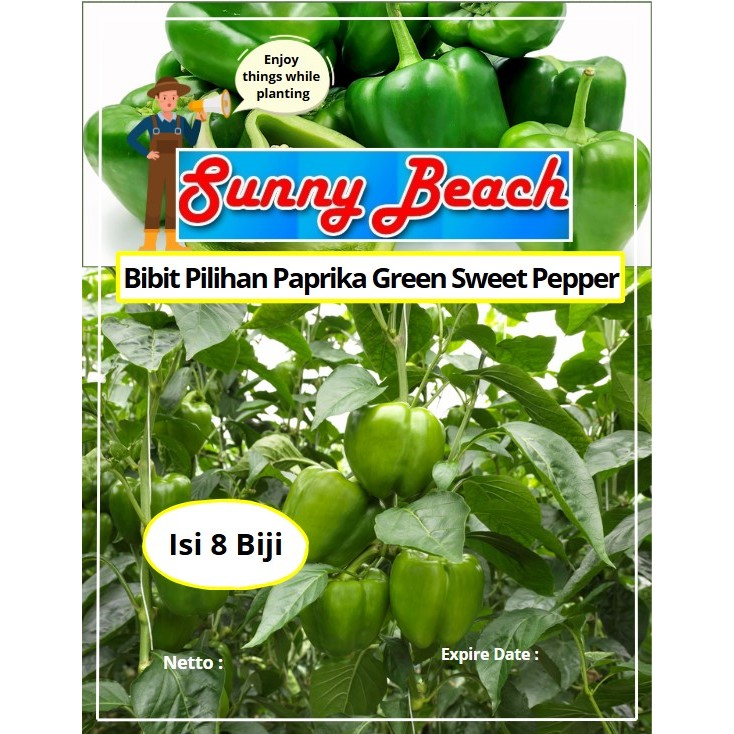 Bibit Pilihan Paprika Green Sweet Pepper | Benih Paprika Hijau | Bibit Paprika Hijau