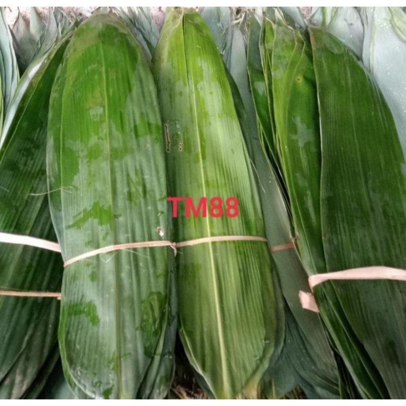 

TERMURAH 1KG DAUN BAMBU JUMBO - DAUN BAMBU SEGAR
