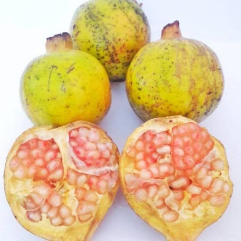 

Buah delima dijual perbiji