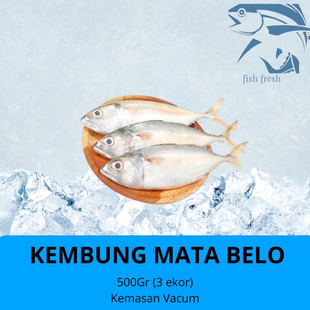 

IKAN KEMBUNG MATA BELO / BENTRONG 500GR KUALITAS SEGAR