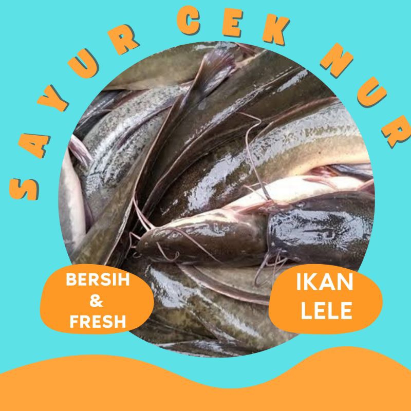 

IKAN LELE FRESH & BERSIH - PALEMBANG