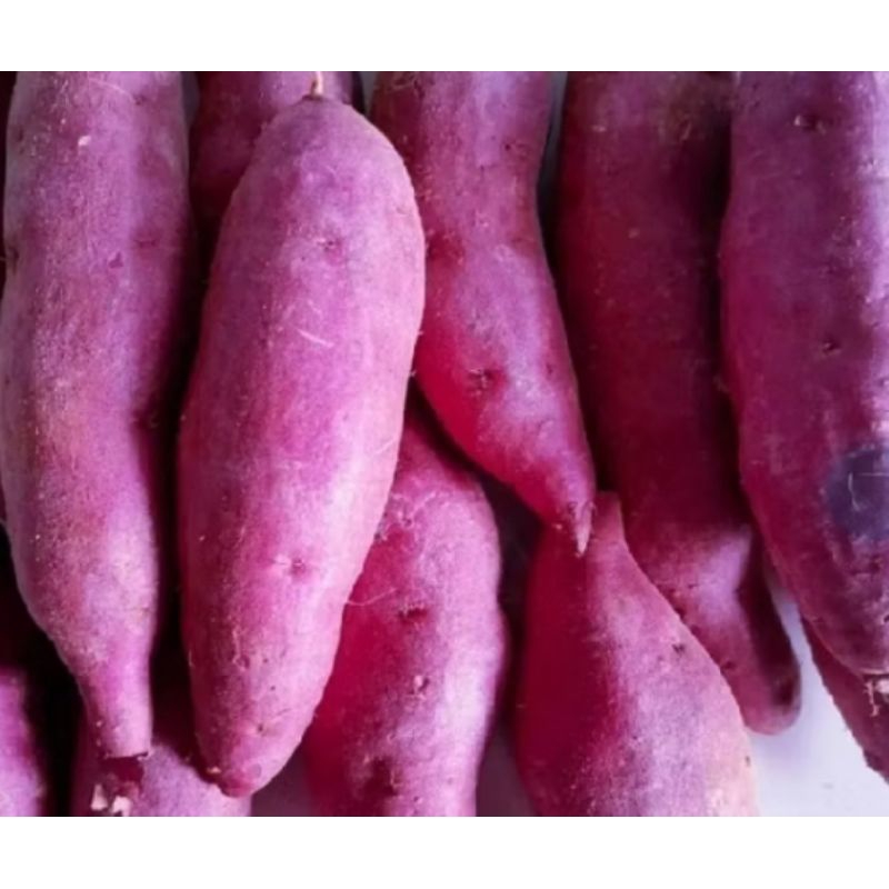 

ubi ci lembu ungu segar 500 grm