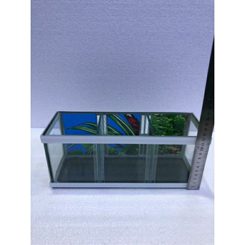 Pureblies_ Aquarium Mini Untuk Ikan Cupang / Aquarium Mini Kaca 30X12X10 / Aquarium Minimalis Kaca