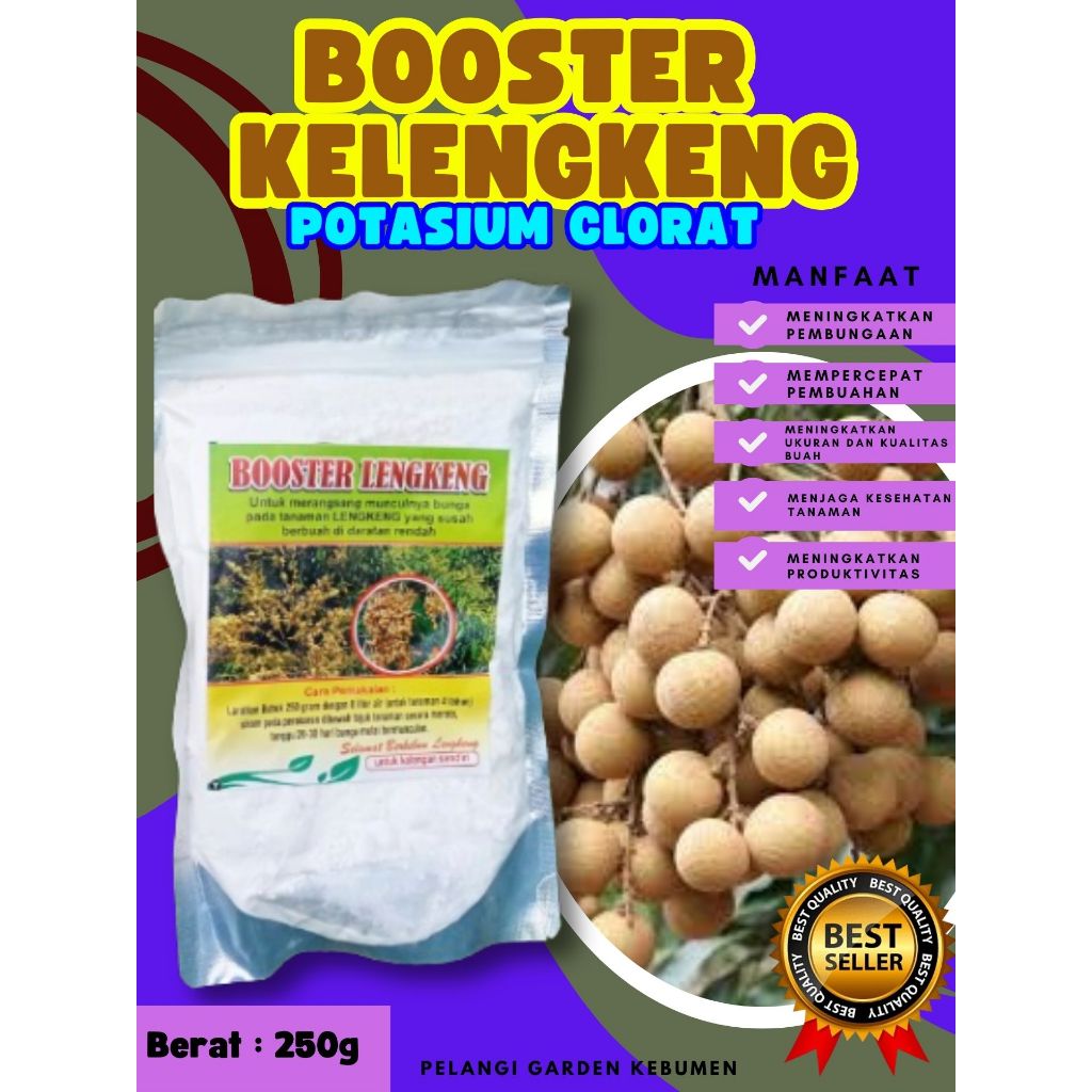 UNGGULAN  Booster Kelengkeng Stek