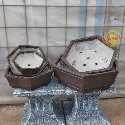 Pot Bonsai Segi 6 / Pot Semen Bonsai Segi 6 (GRAB/GOJEK/CAR ONLY)