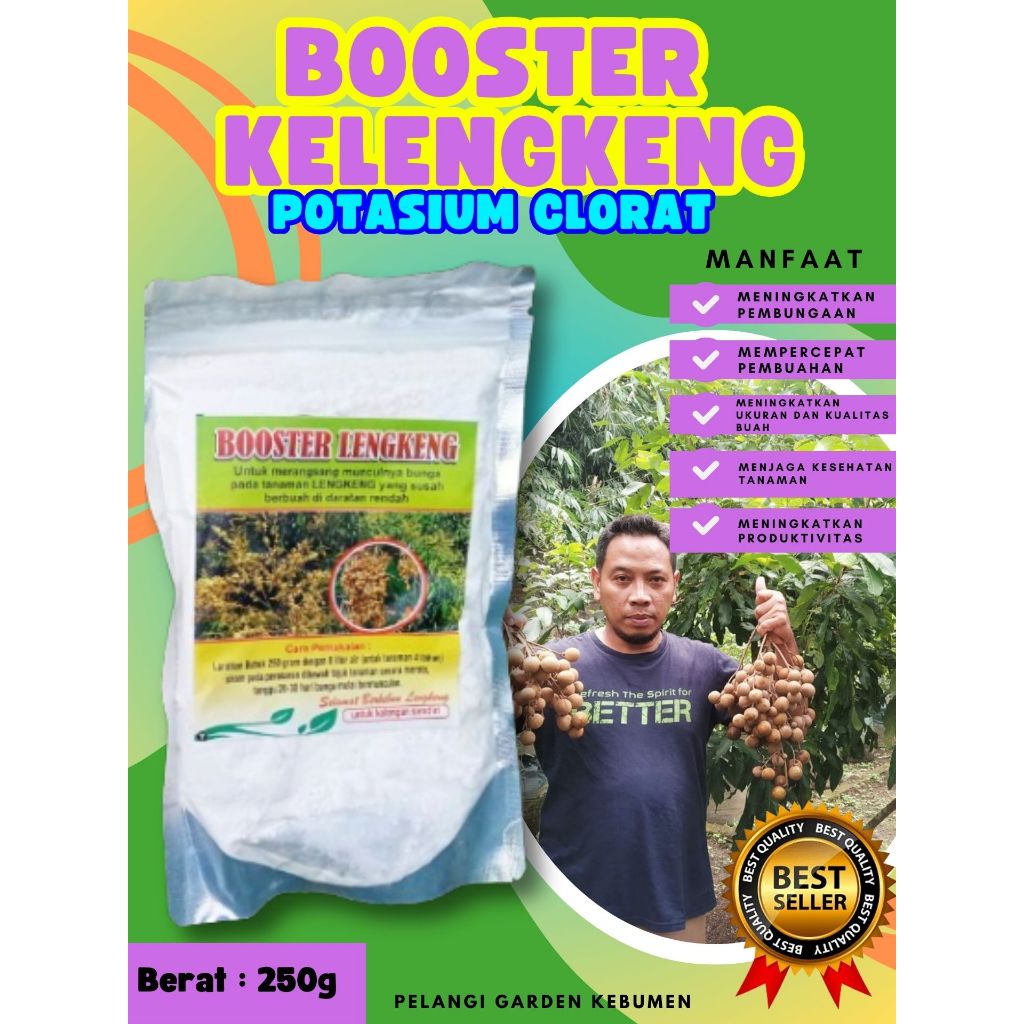 TERBAIK ! Boster Kelengkeng Aroma Durian