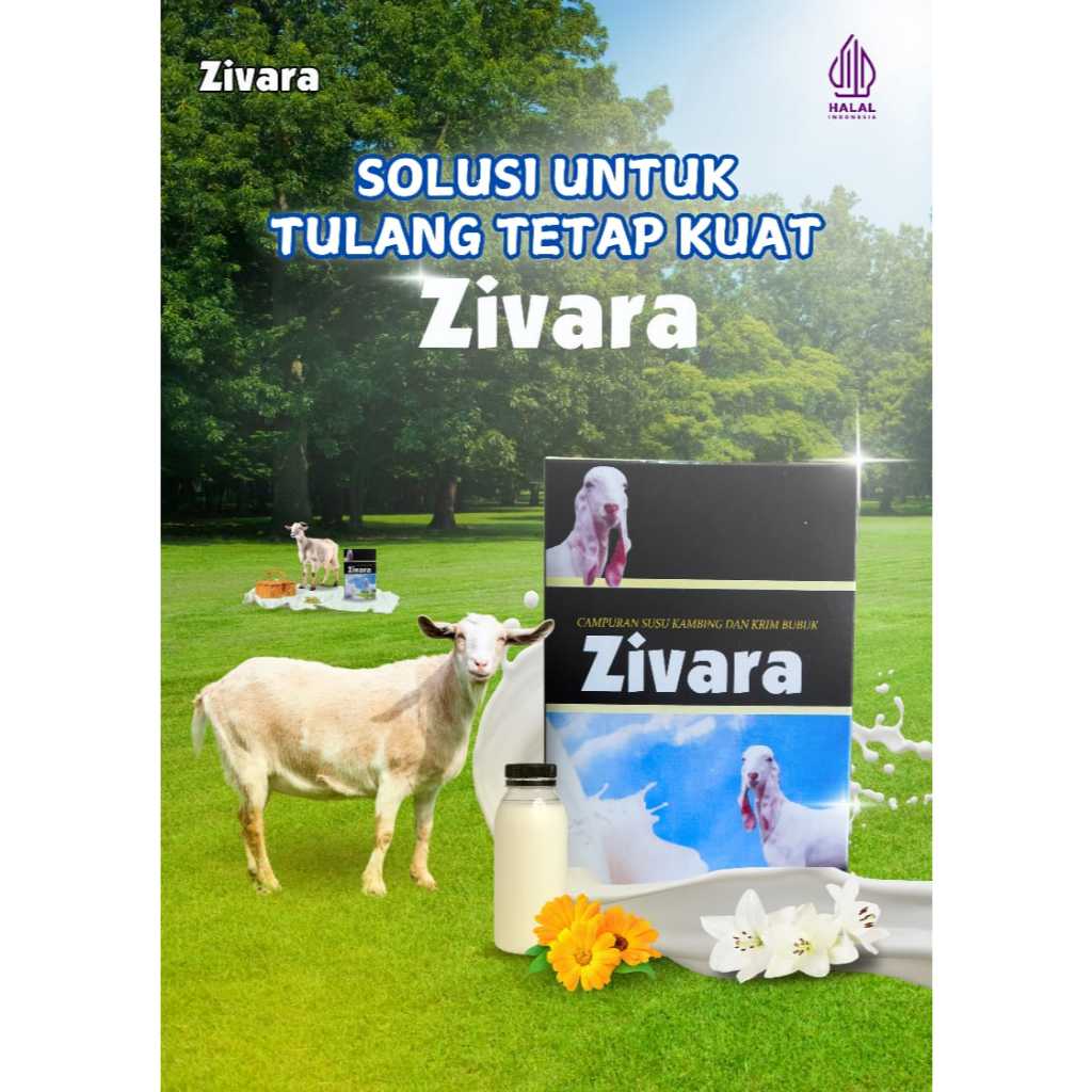 

Susu Kambing Zivara Solusi untuk Tulang Tetap Kuat