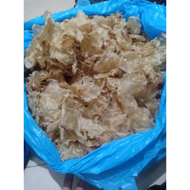 

FishmawHipioEngphiauGelembungmanyungGelembungmayungKatacmayungKatakmanyungGelembungikanmanyungGelembungikanmayung 150gr HALAL