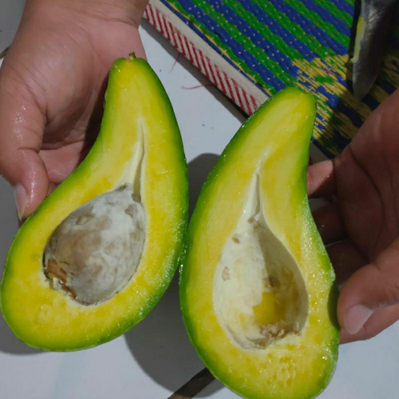 

alpokat mentega Muria JUMBO isi 2 per 1kg