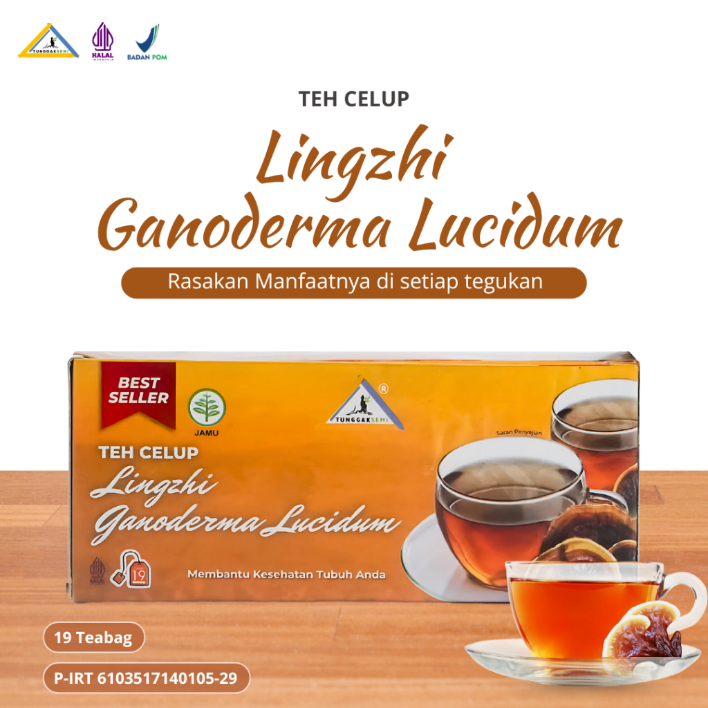 

TUNGGAKSEMI Teh celup lingzhi Merah liar 19 Tea Bag
