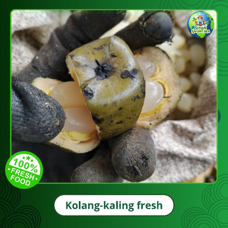 

kolang-kaling Segar [1 kg] murah