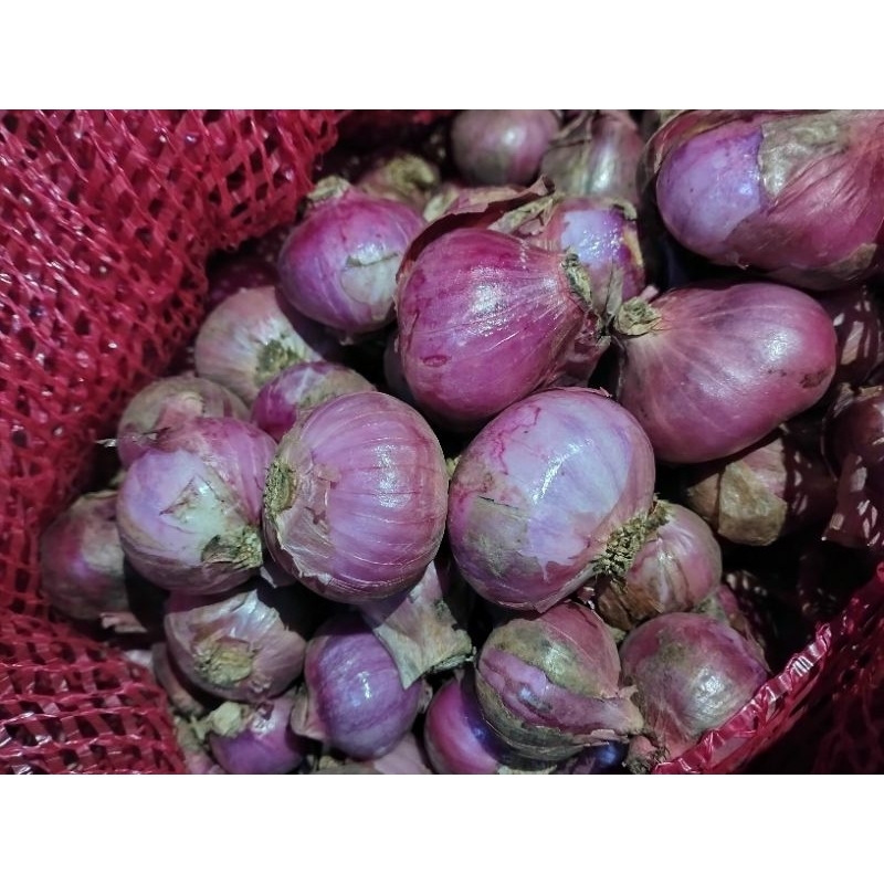 

BAWANG MERAH SUPER LOKAL