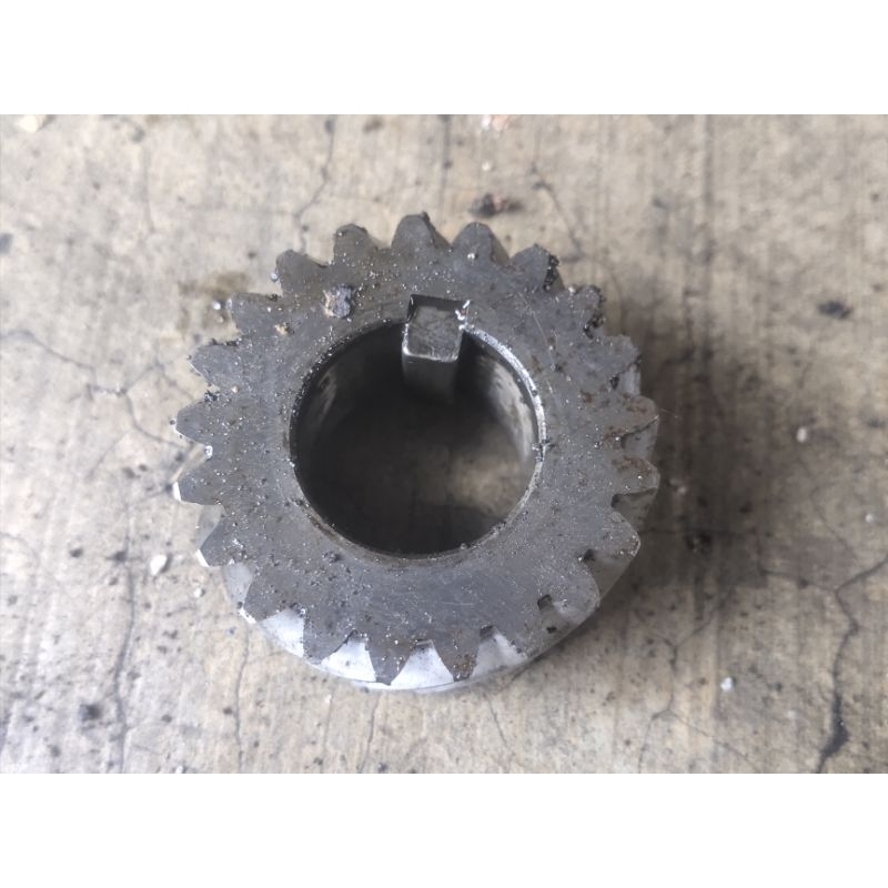 gigi primer yamaha v75