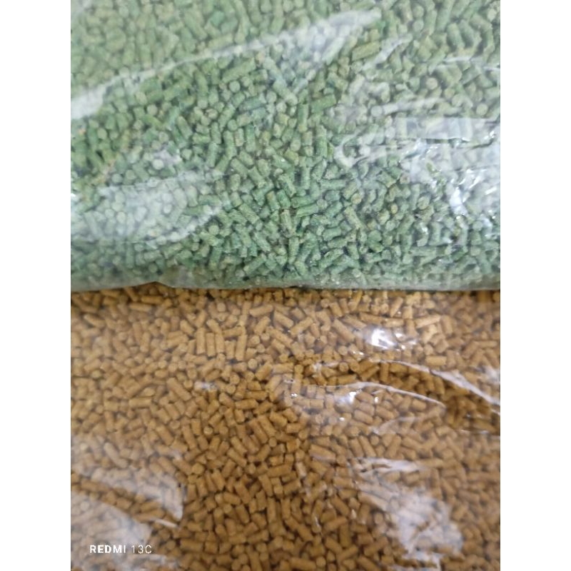 Pakan Burung Ombyokan