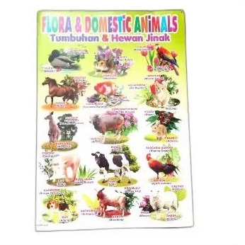 poster dekorasi belajar mengenal hewan jinak