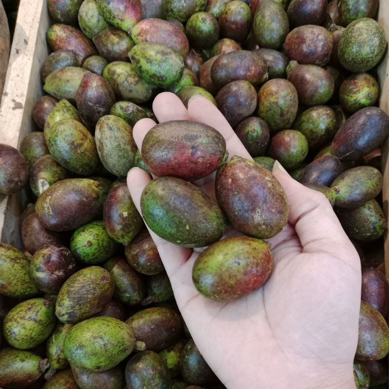 

Buah matoa
