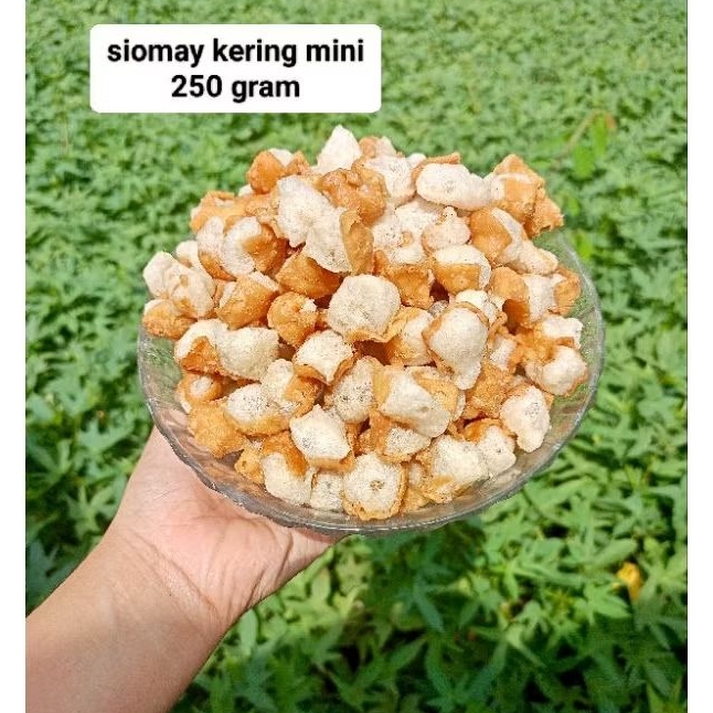 

Siomay kering mini toping baso Aci 250gram gurih renyah