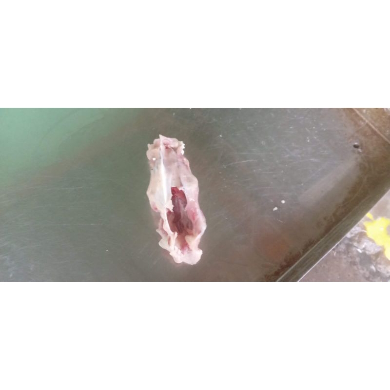 

krongkongan ayam potong sop