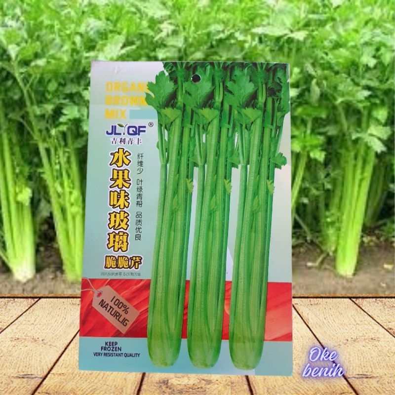 KEMASAN ORIGINAL 3000 BUTIR BENIH SELEDRI IMPORT