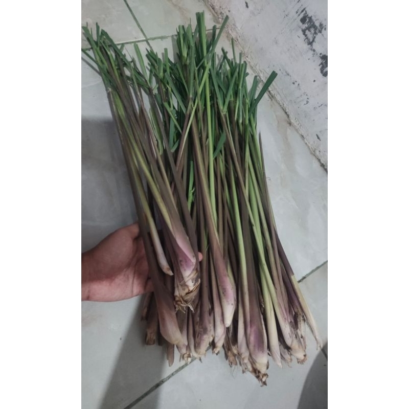 

sereh merah atau sereh wangi 1kg