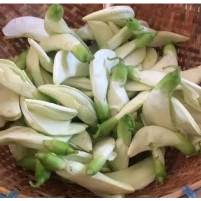 

Kembang turi segar 1 bungkus..