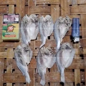 

1000.GRAM.IKAN.ASIN.GULAMA.(MEDIUM.SIZE)FRESS