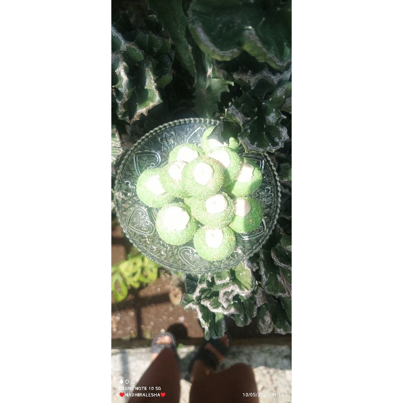 

cookies coconut vanila