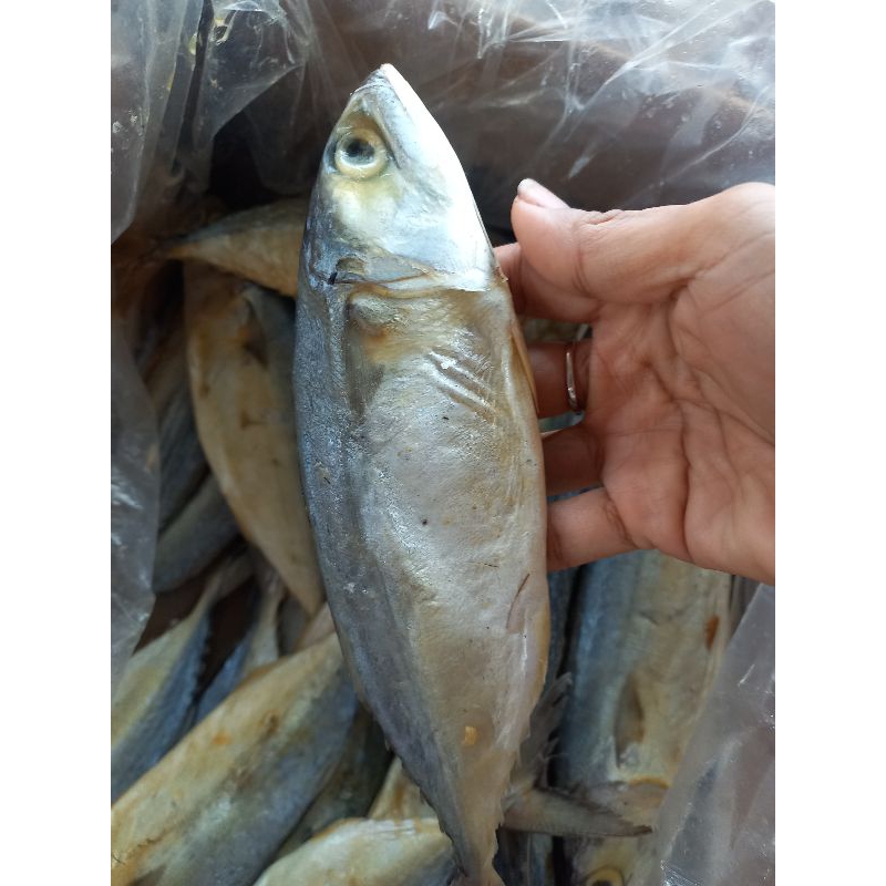 

IKAN ASIN PEDA PUTIH