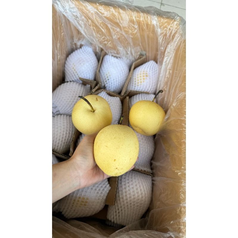 

Pear Century (KG)